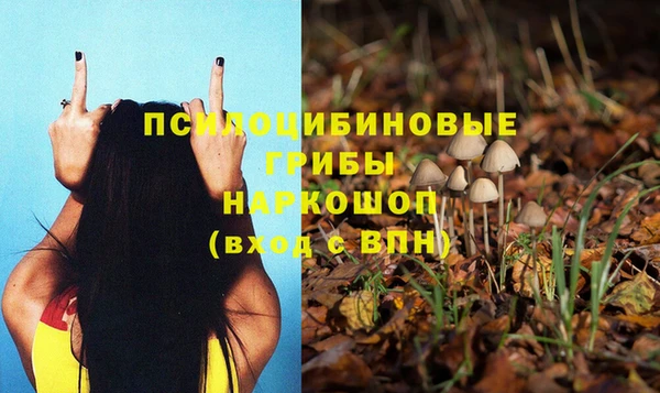 jwh Абаза