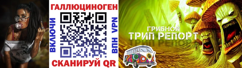 OMG   Прохладный  Псилоцибиновые грибы мицелий 